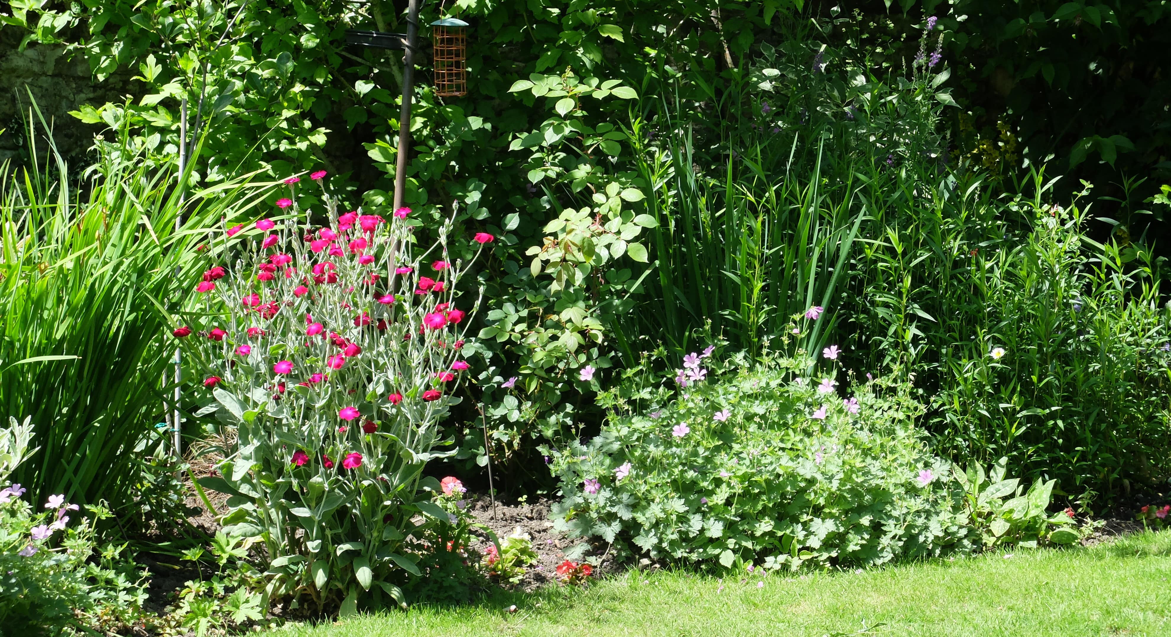 Winton House Garden Winton House Garden
